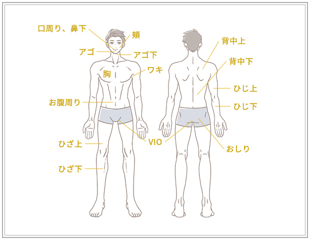 メンズ脱毛/施術部位一覧